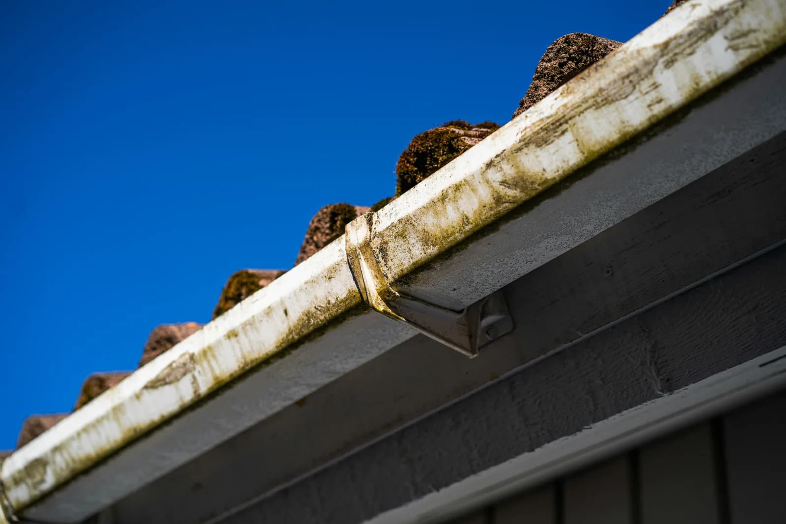 Roof with moss and debris requiring cleaning