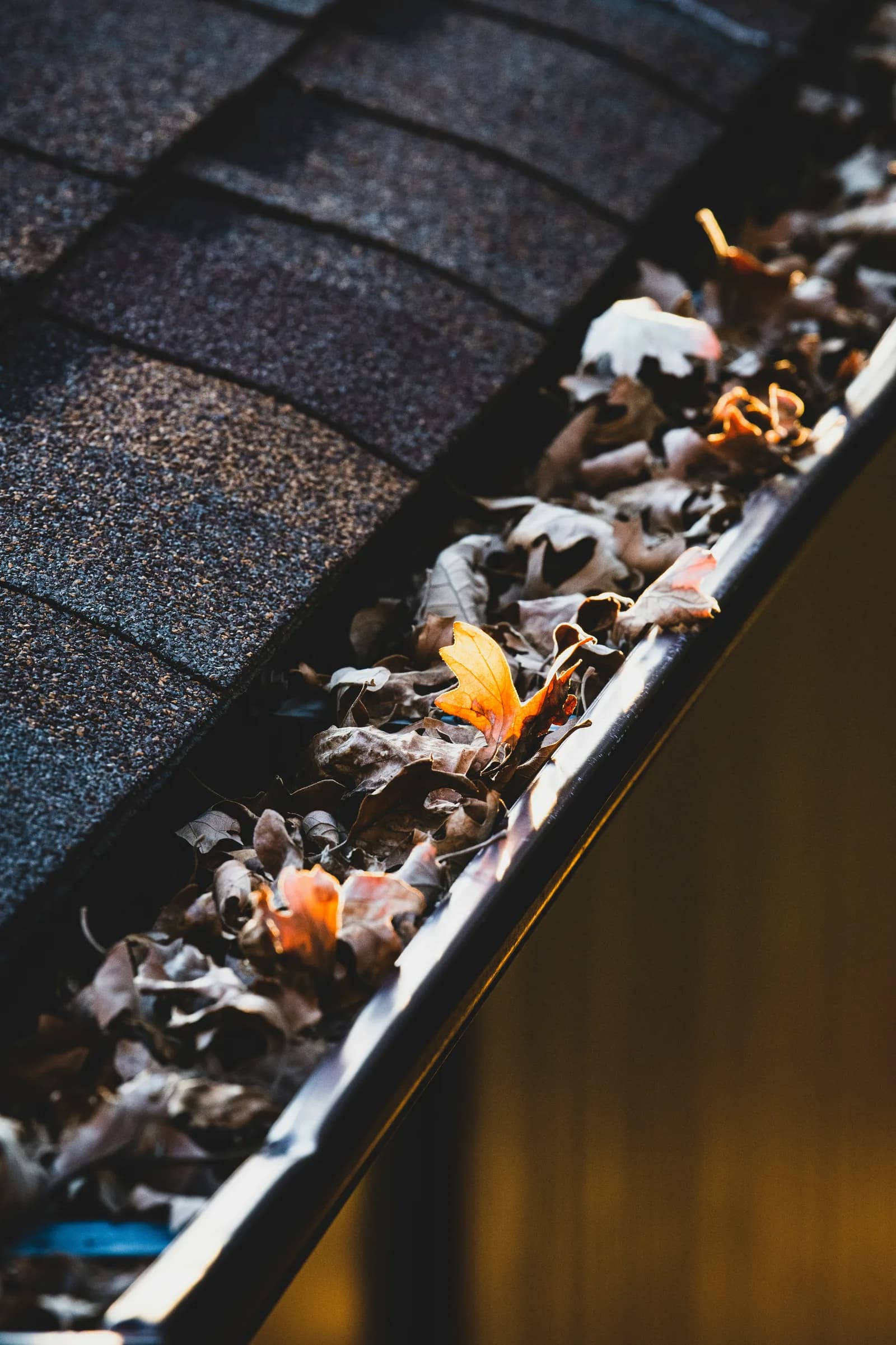 Gutter full of leaves and debris