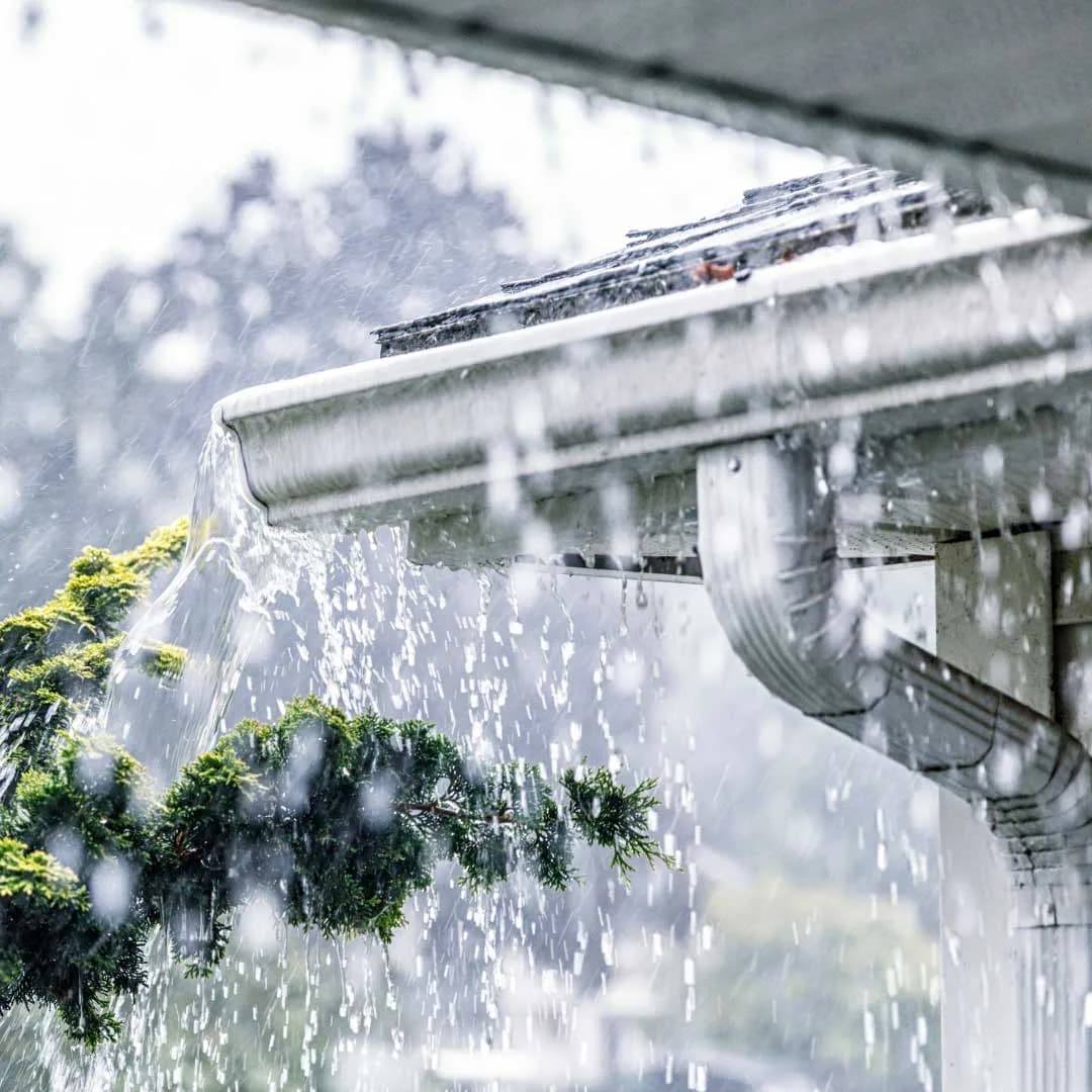Gutter full of leaves needing cleaning
